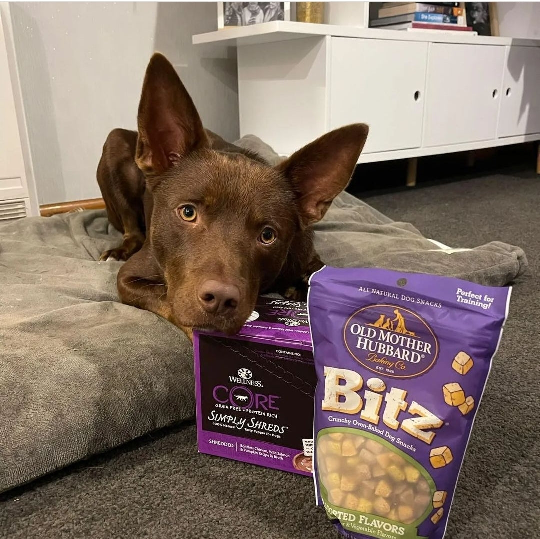 Dog Food and Treats Sale