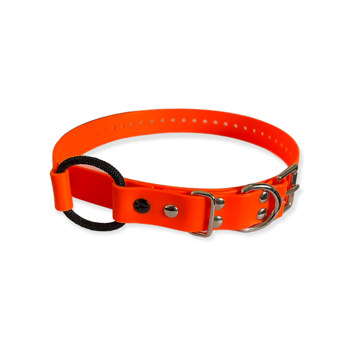 1" Bungee Collar 33" Length
