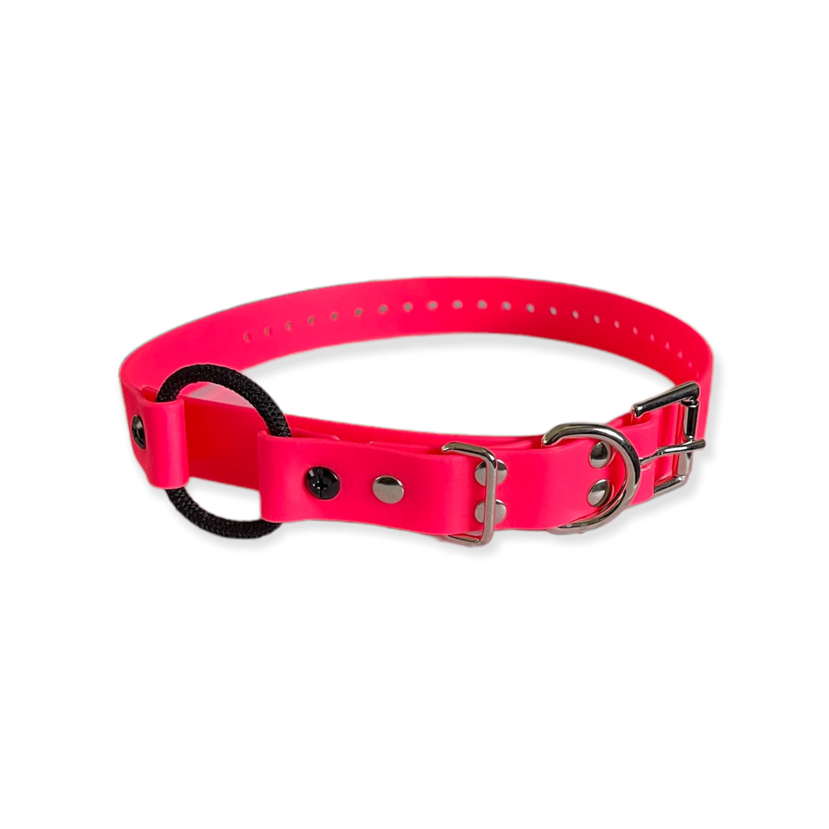 1" Bungee Collar 33" Length