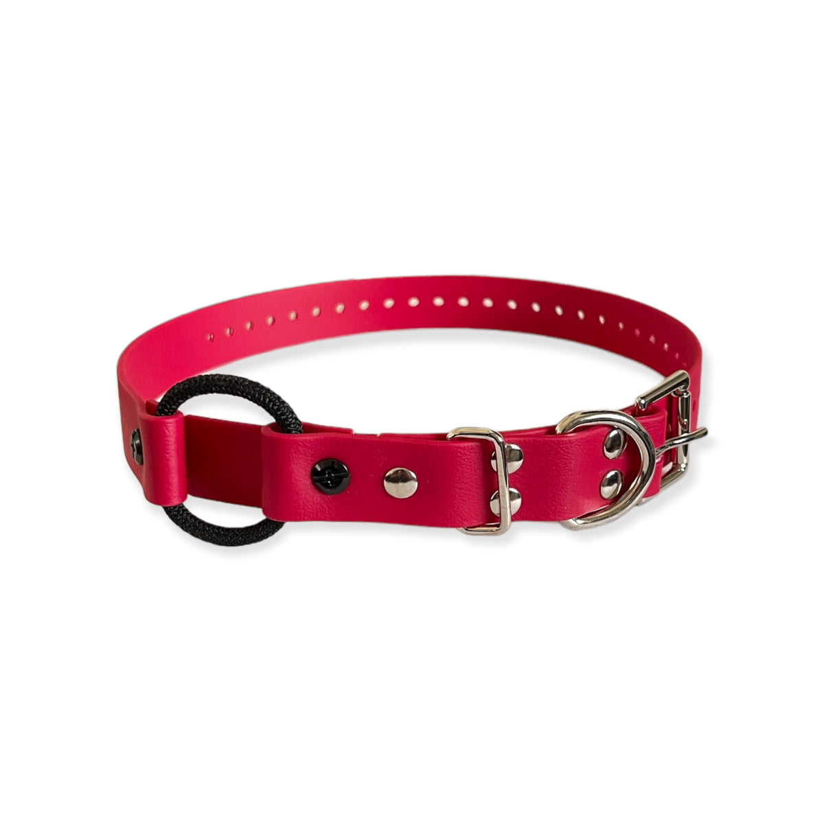 1" Bungee Collar 33" Length
