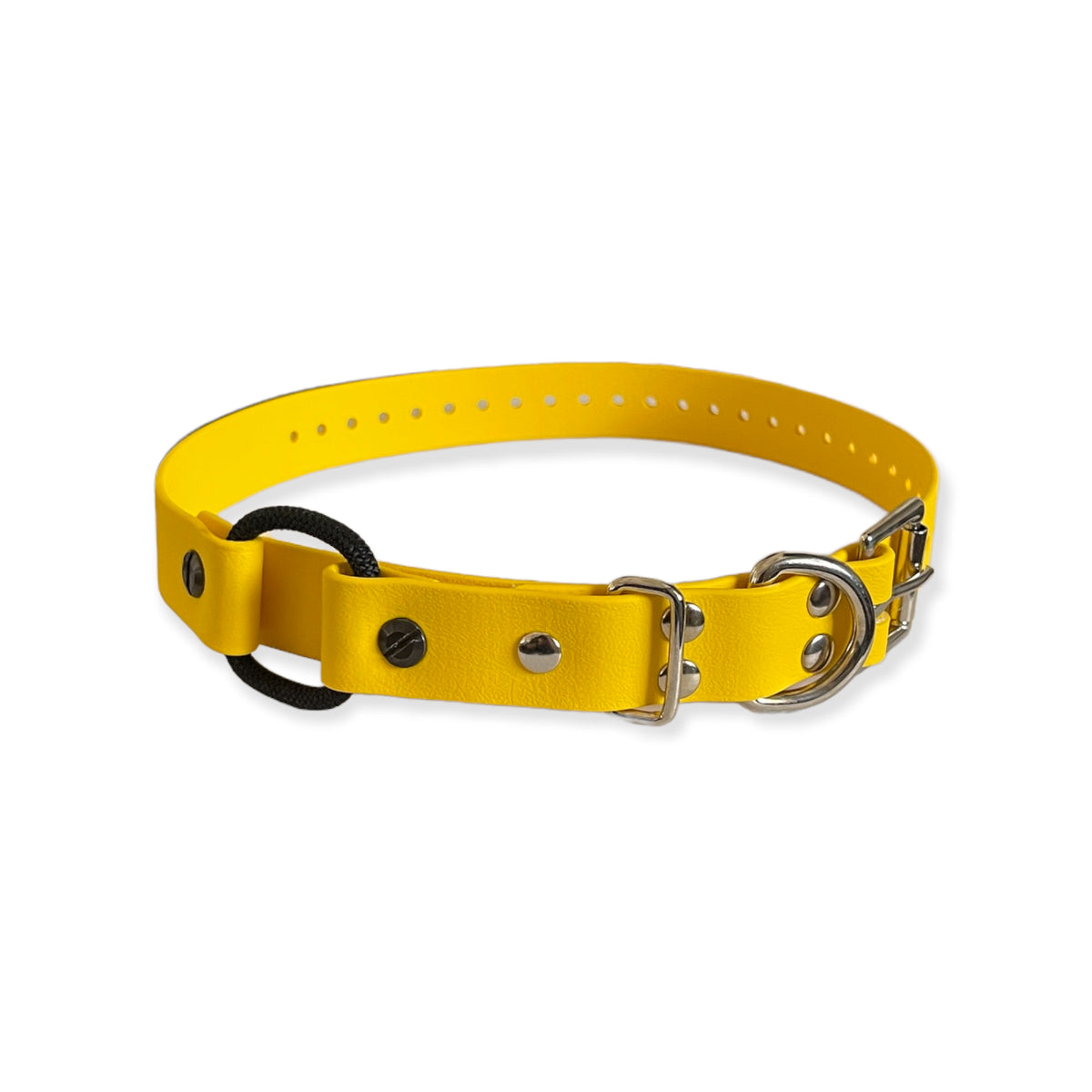 1" Bungee Collar 33" Length