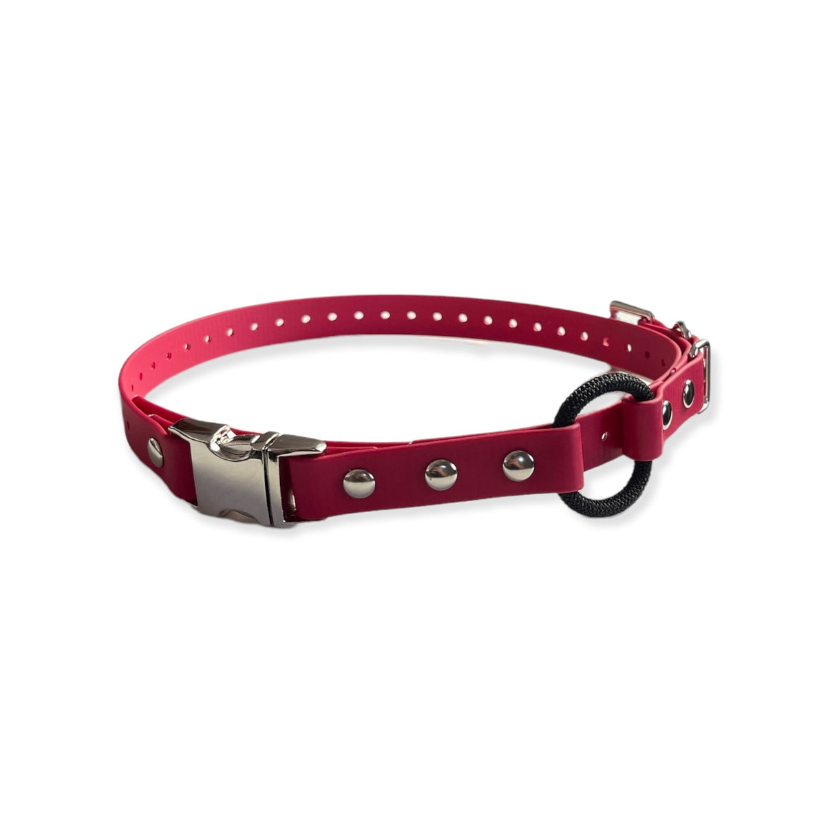 3/4&quot; Quick Snap Bungee Collar 33&quot; Length