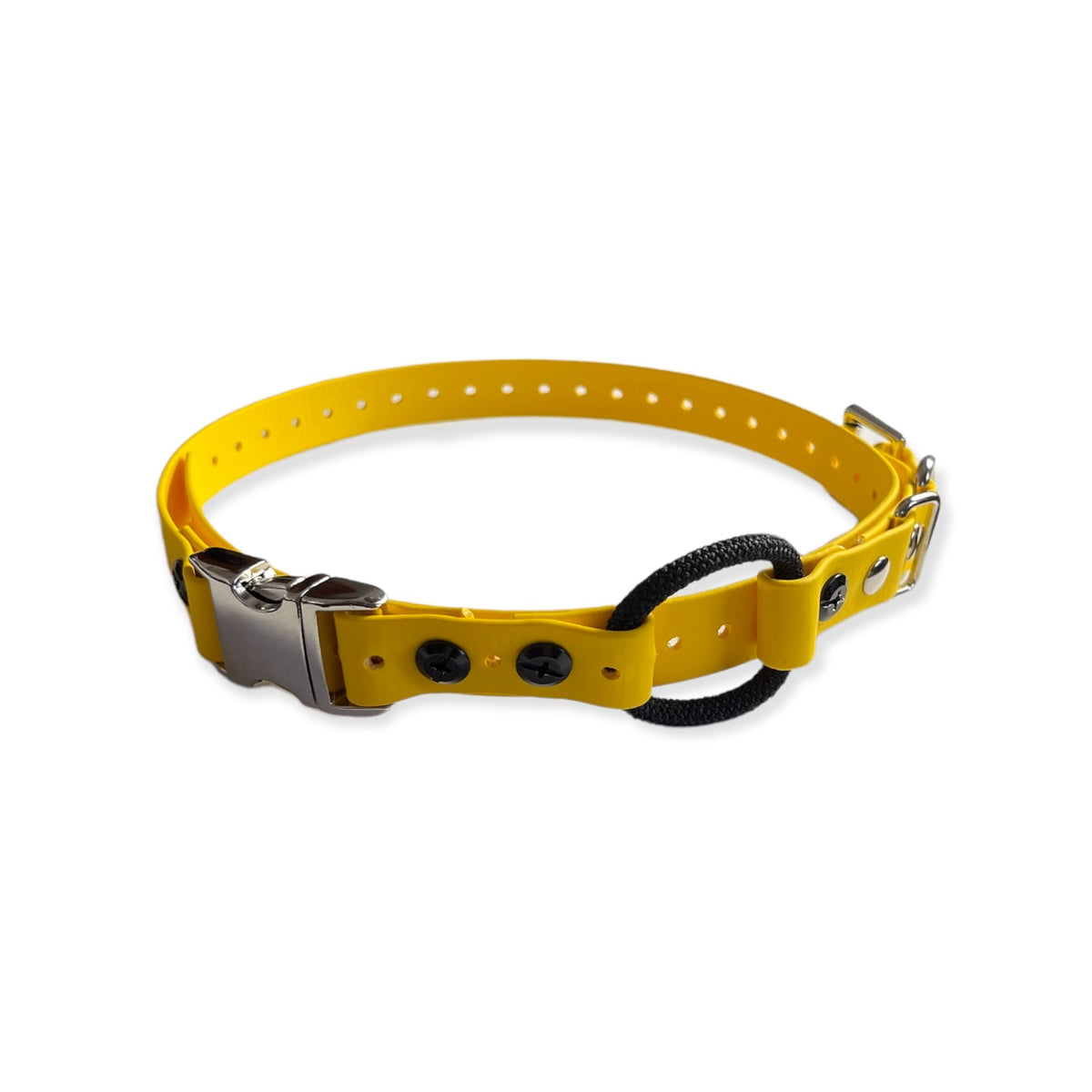 3/4&quot; Quick Snap Bungee Collar 33&quot; Length