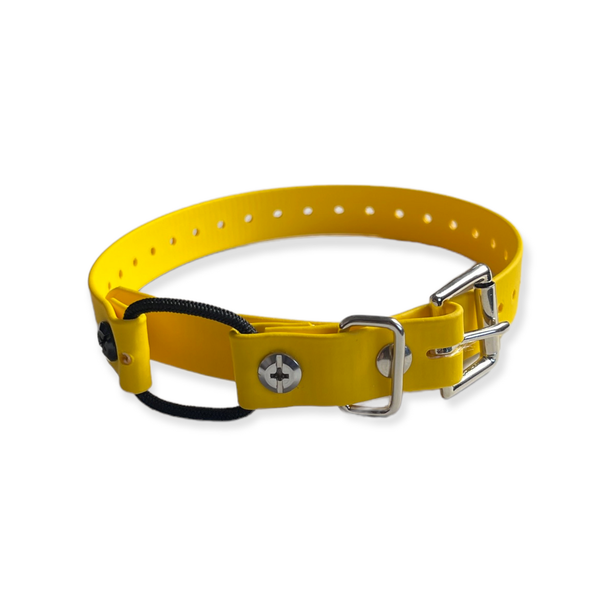 3/4' Mini Bungee Collar For Small Dogs