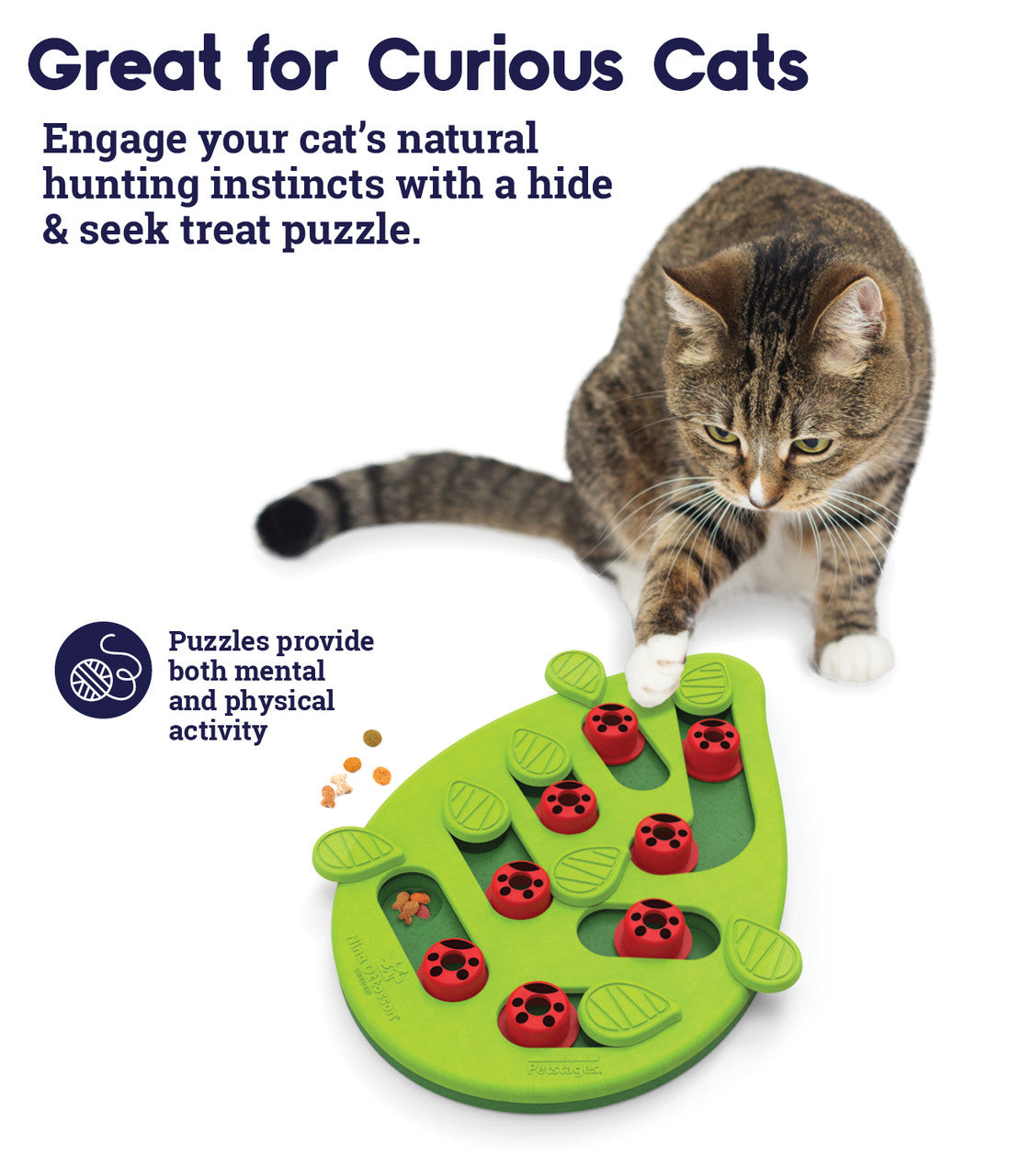 Curious Cat Puzzle Toy