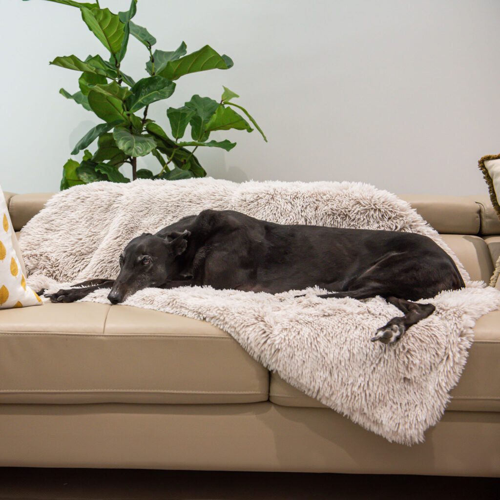 Honest Pet Collective Calming Pet Blanket Water Resistant Aspen Faux Fur