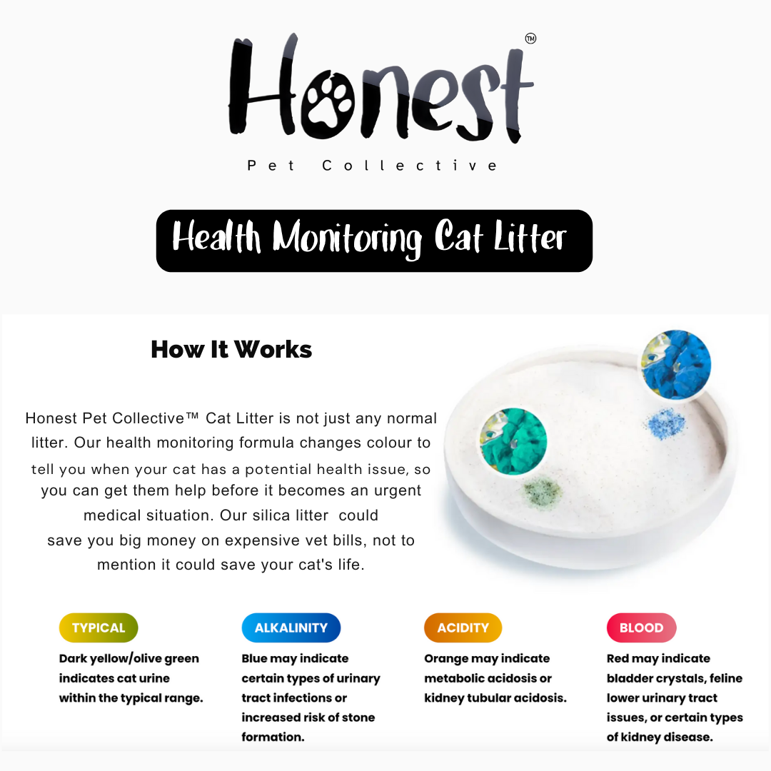 Honest Pet Collective Health Monitoring Cat Litter 2.7 KG/6.7L