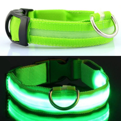 A collar that has an Anything Pets LED Rechargeable Dog Collar on it.