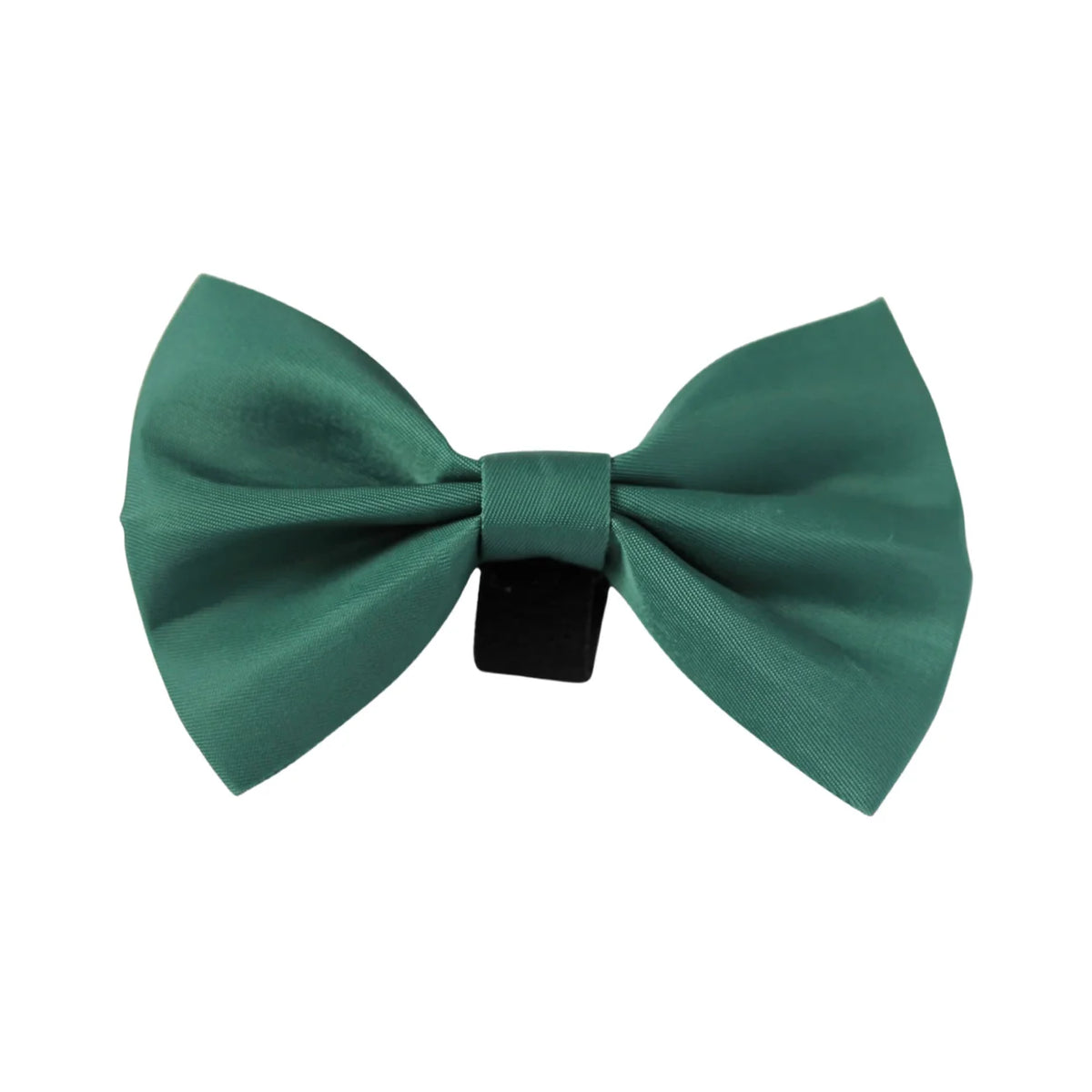 Bay Leaves Bow Tie