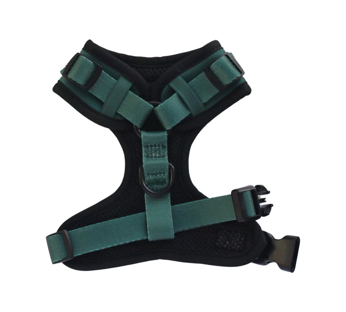 Bay Leaves Standard No-Pull Harness