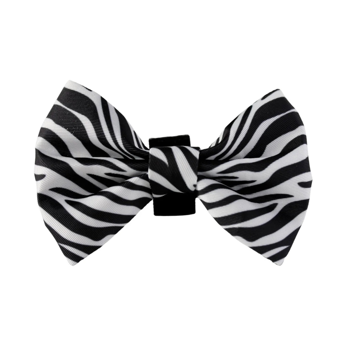 Zesty Zebra Bow Tie