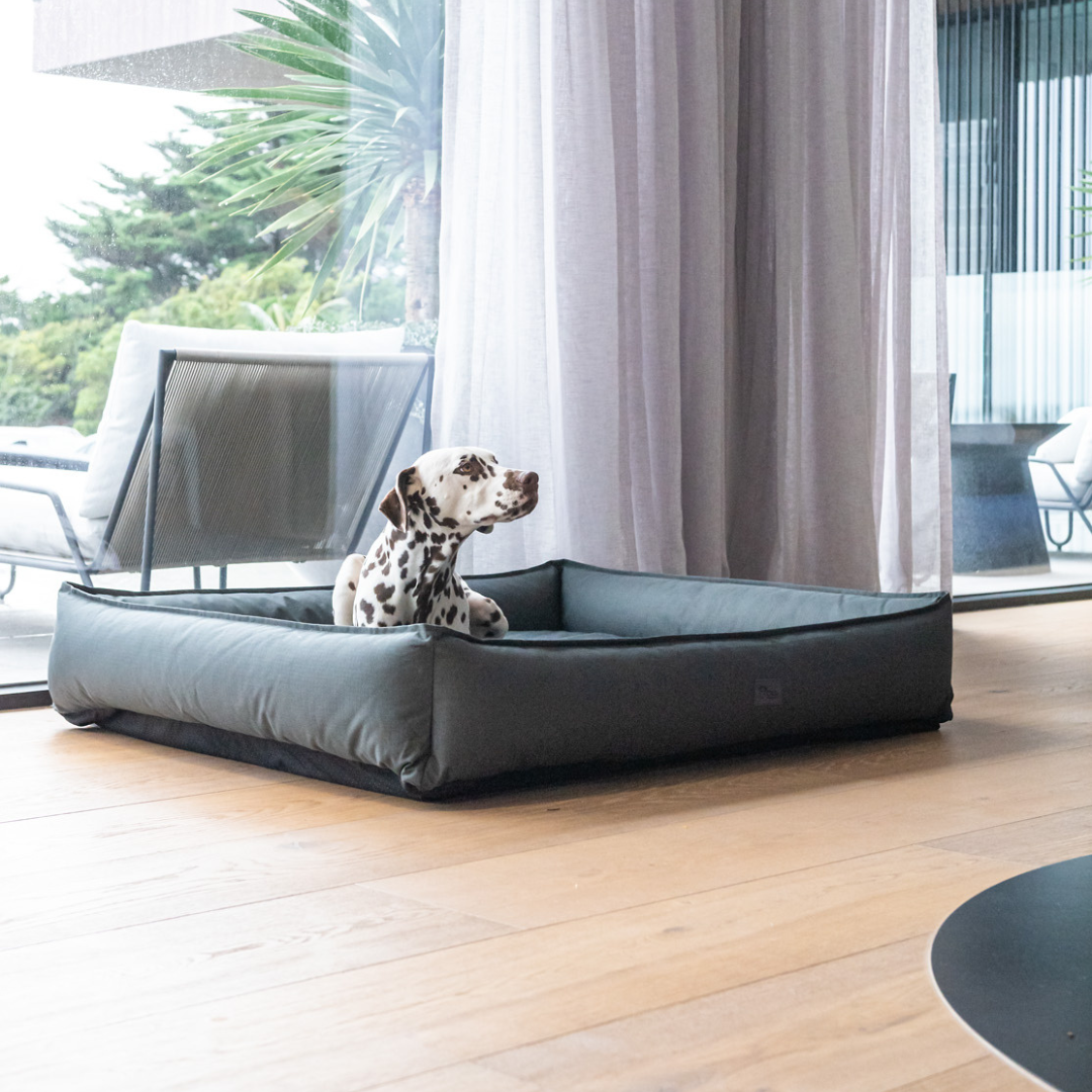 Honest Pet Collective Ripstop Dog Lounger Jungle Grey