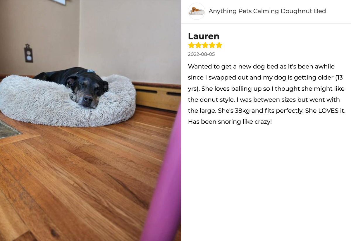 Anything Pets Calming Doughnut Bed Review 