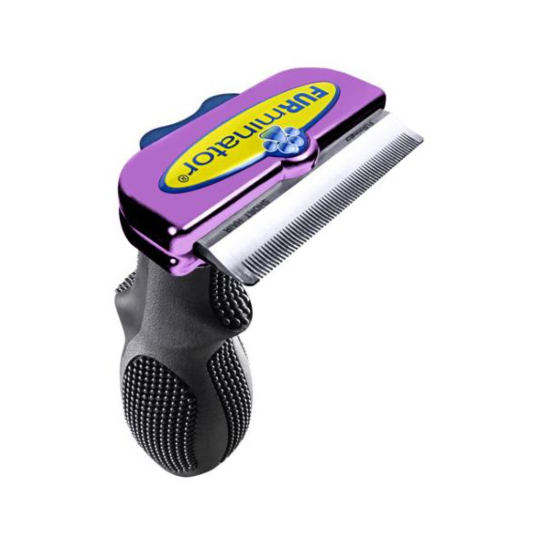 close up of Furminator Large Short Hair Cat