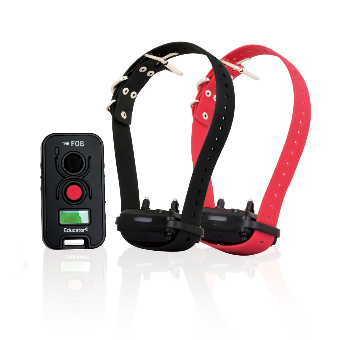 FE-582 Fob Educator E-Collar Dog Trainer x2 dog 