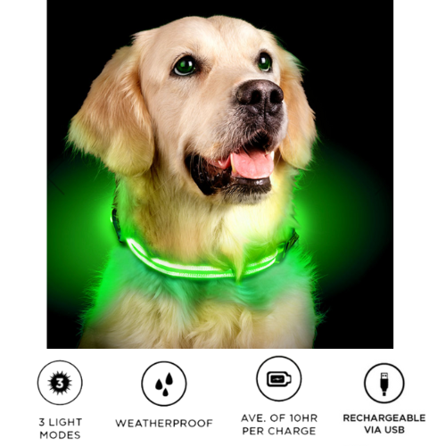 Anything Pets LED Rechargeable Dod Collar. Waterproof, 3 light modes, ave 10hr per charge, rechargeable via USB