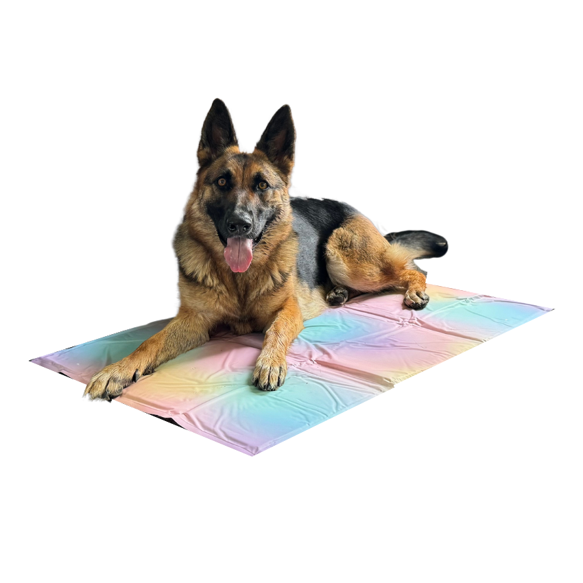 german shepherd on a large cooling mat