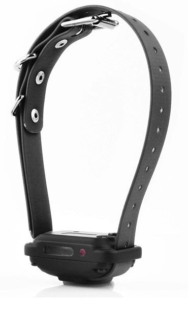 PAGER ONLY RECEIVER ON 3/4&quot; BLACK STRAP