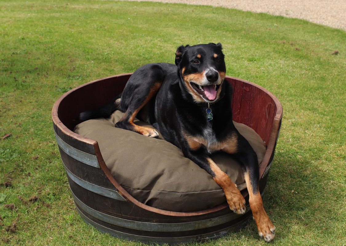 Barrel Dog Bed - Circular | Cambridge Road Pets