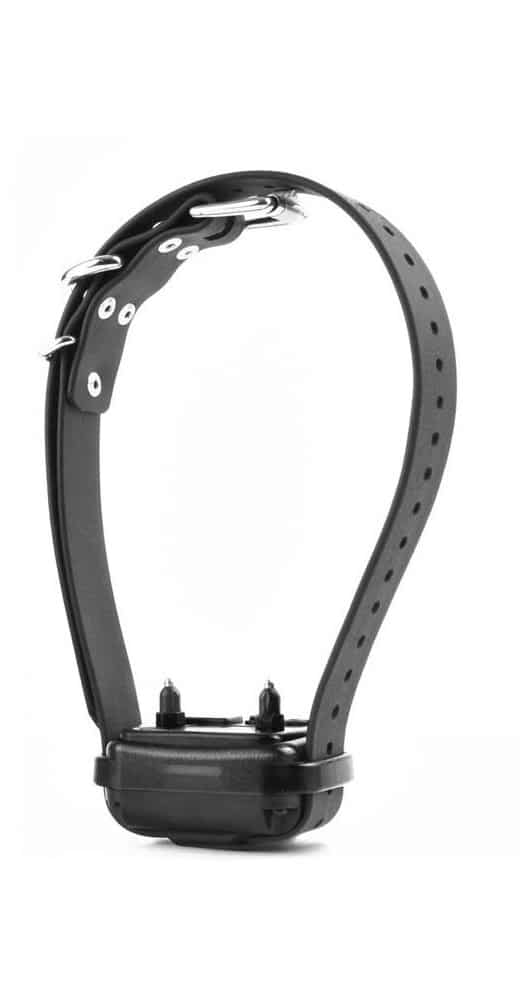 LARGE RECEIVER ON 1&quot; BLACK STRAP