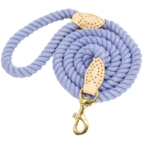 Violet Leash