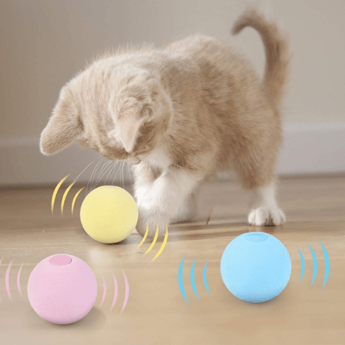 Anything Pets Smart ball