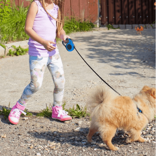 Kid walking dog on anything pets retractable lead. Blue Leash. New Zealand. 