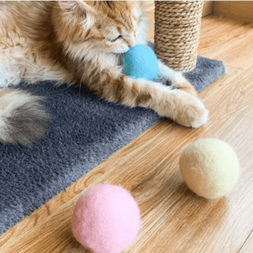 Anything Pets Smart ball