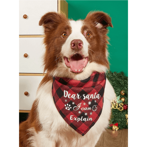 dog wearing red and black dear Santa  bandana.