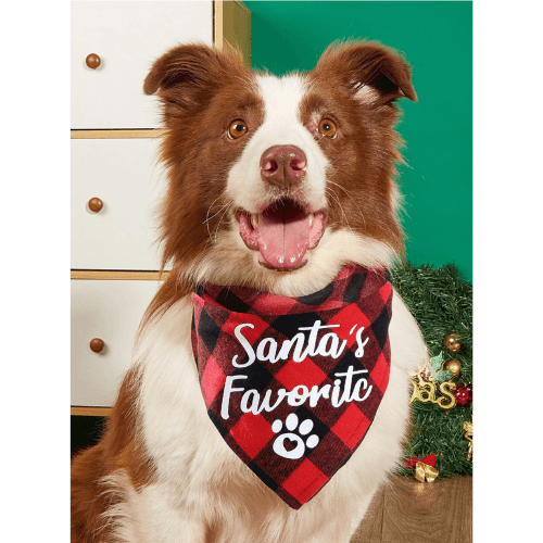 Santas Favorite - Bandana