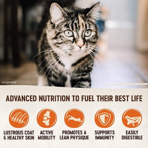 Wellness Cat CORE Original Formula 2.3kg